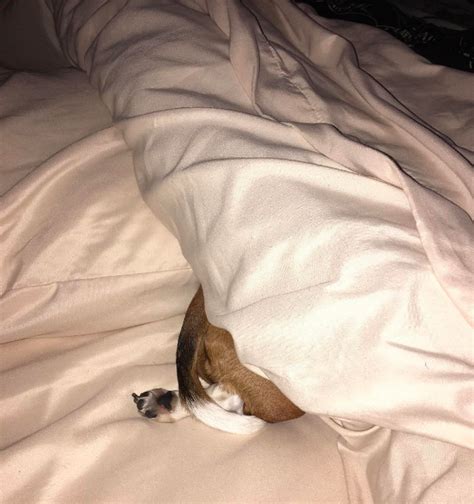 Ways To Decorate Your Home Like A Grown Ass Adult