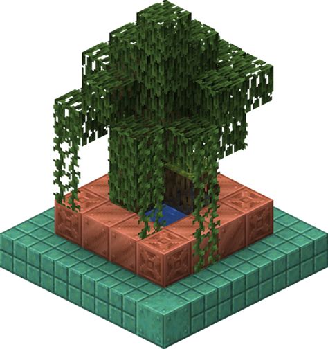 Mangrove – Minecraft Wiki