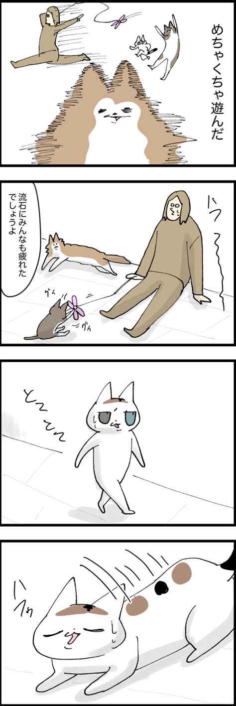 ニュータイプしゅりー │ ねことおら