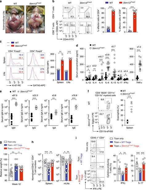 Stim And Stim Control Treg Function And Prevent Th Mediated