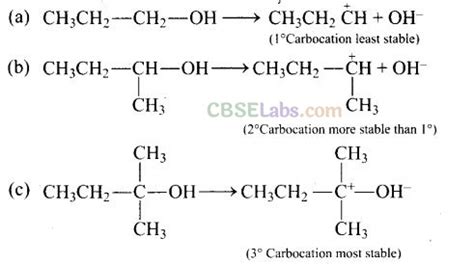 Ncert Exemplar Class Chemistry Chapter Haloalkanes And Haloarenes