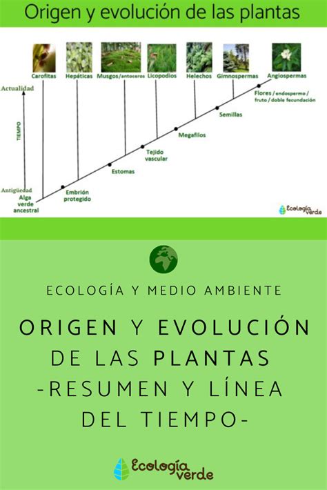 Descubre este resumen sobre el origen y la evolución de las plantas