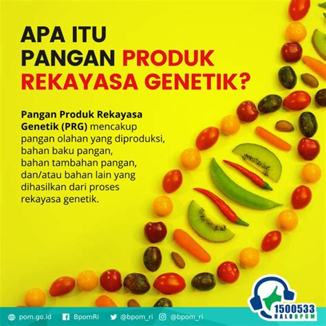 Contoh Produk Rekayasa Genetika Koleksi Gambar