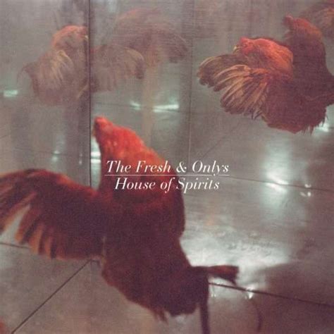 The Fresh Onlys House Of Spirits CD Jpc