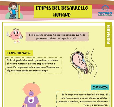 Personal Social Etapas Del Desarrollo Humano 4to Grado De Primaria Nbkomputer