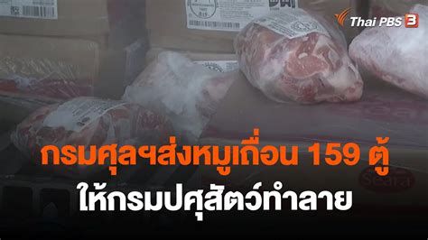 กรมศุลฯส่งหมูเถื่อน 159 ตู้ ให้กรมปศุสัตว์ทำลาย วันใหม่ ไทยพีบีเอส