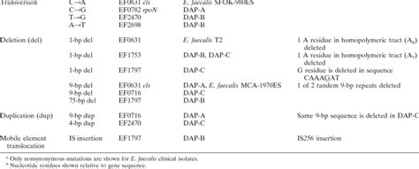 Genetic Changes Observed In Enterococci In This Study A Mutation Type