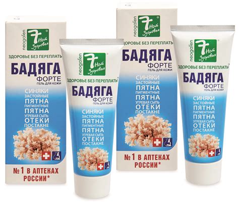 Растение бодяга как выглядит бадяга (52 фото)