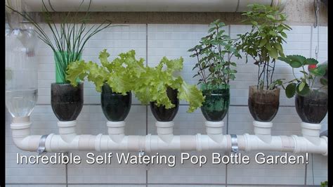 Grow Bottle Hydroponic Herb Gardens Fasci Garden