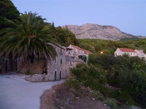 Homemade Gallery 247 IMG 197 Porn Pic