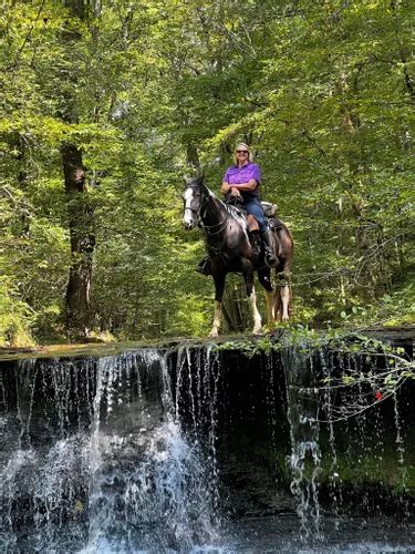 Best Hikes And Trails In Sulphur Creek Park Alltrails