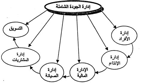 إدارة الجودة الشاملة مراحلها مبادئها أنواعها فوائدها