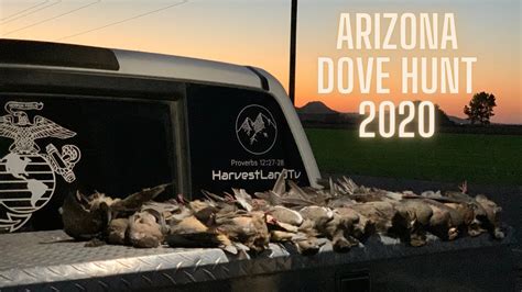 Dove Hunting Arizona Day 3 Of Yuma Az Dove Hunt Arizona Hunt