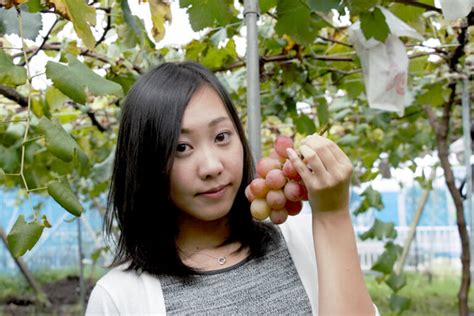 【フルーツ狩り】榛東村ぶどう郷で秋の味覚をいただきます！群馬オススメぶどう狩りスポットはここ！ 伊香保の観光情報をhotにお届け！「伊香ほっと」