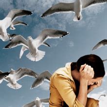 Fear Of Birds Phobia Ornithophobia