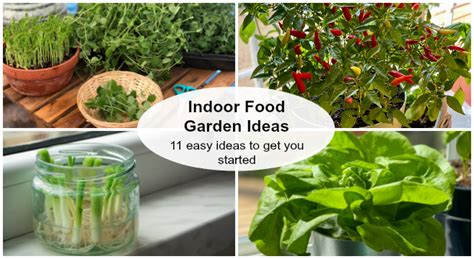 Indoor food garden ideas: 11 easy vegetables and fruits to get you started