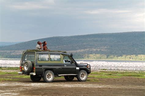 Tourist Activities In Lake Nakuru National Park Kenya Safaris Tours