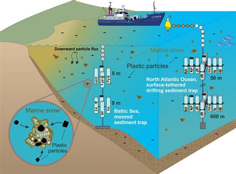 Sediment Traps A Renowned Tool In Oceanography Applied To New Marine