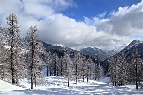 Monte Rosa's Massif | Visit Monterosa - Inverno