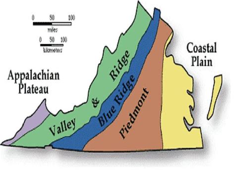 Regions of VA Part 1 Flashcards | Quizlet