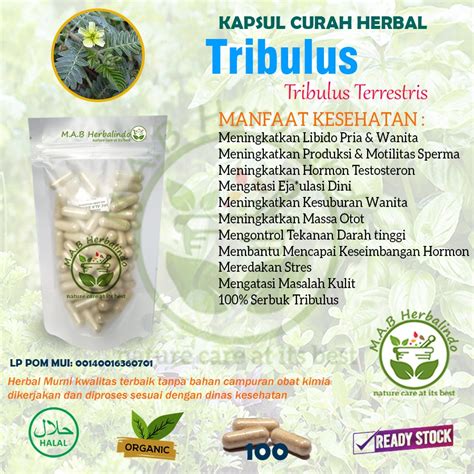 Jual Tribulus Kapsul Curah Herbal Aphrodisiac Stamina Hipertensi