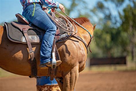 A Guide To Western Riding Marys Tack And Feed