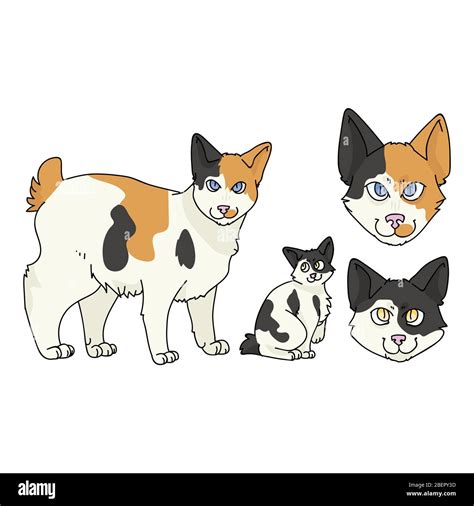 Cute Cartoon Japanese Bobtail Cat And Kitten Set Vector Clipart