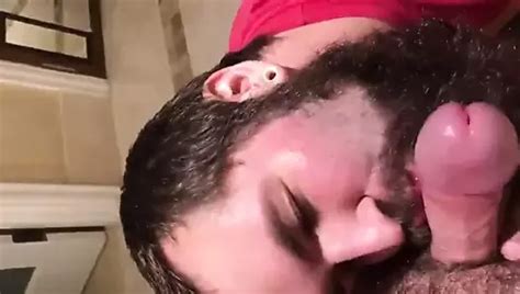 Free Bearded Cocksucker Gay Porn Videos XHamster