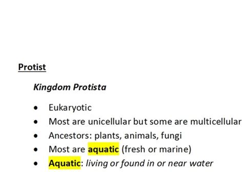 Protista Flashcards Quizlet