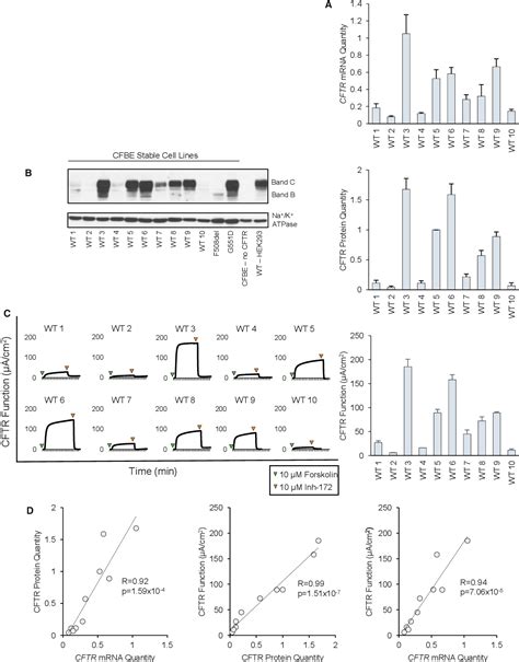 Figure From Functional Assays Are Essential For Interpretation Of