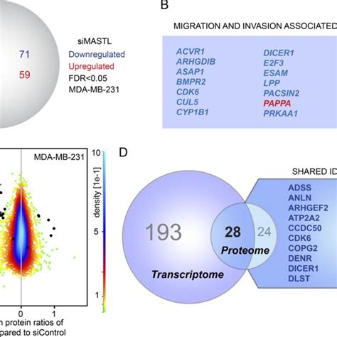 Mastl Inhibits Cell Spreading And Attachment Through Kinase Independent