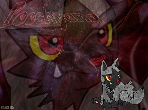 Free Download Poochyena Hd Wallpaper Pxfuel