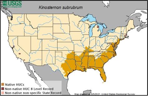 13 Types Of Turtles Found In Pennsylvania ID Guide Bird Watching HQ