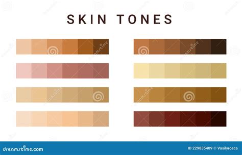 Skin Tone Color Scale Chart. Brown Palette Vector Human Skin ...