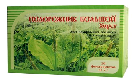 Подорожник овальный - фото, лечебные свойства, семена подорожника в ...