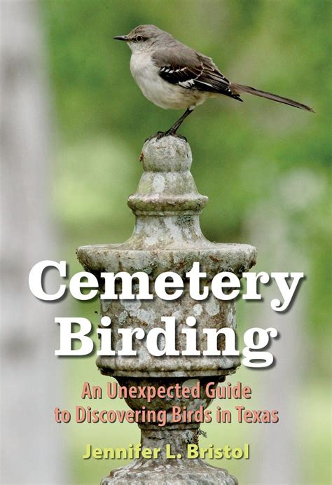 Cemetery Birding An Unexpected Guide To Discovering Birds In Texas