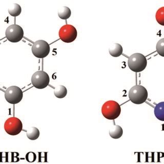 Optimized Geometries Of The Most Stable Rotamers Of The Investigated