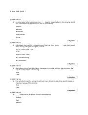 COUC 502 Quiz 7 Docx COUC 502 QUIZ 7 QUESTION 1 1 An Older Adult Who