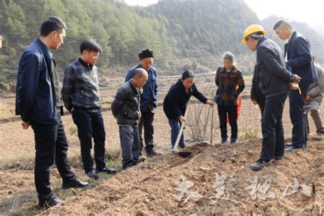 【粮食安全】抓培训强技术 助春耕促生产——玉水镇大豆玉米带状复合种植培训开到田间地头农户独山县农业