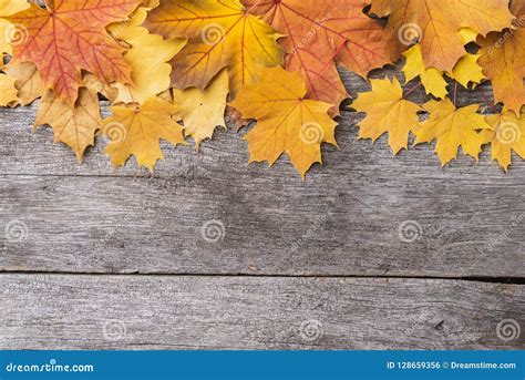 Still Life Of Autumnal Ingredients Stock Photo Image Of Nature