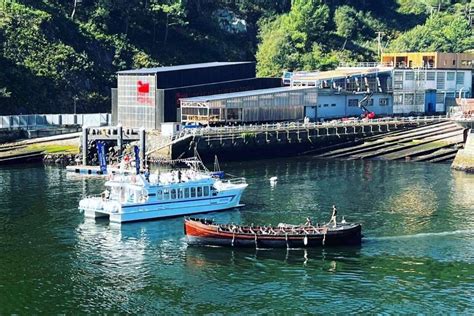 Las excursiones en catamarán sostenibles con el medioambiente de Ciudad