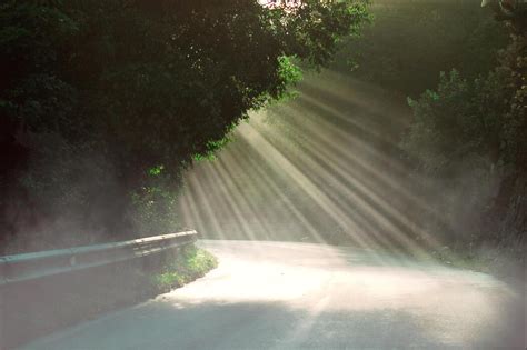 sunlight stock  images  backgrounds