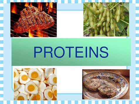 Standards Distinguish among proteins, carbohydrates, lipids, and ... 
