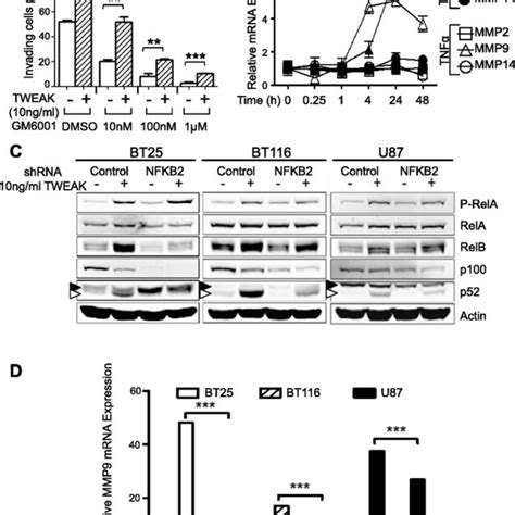 Tweak Induces Invasion Nik Mrna Expression And Noncanonical Nf B