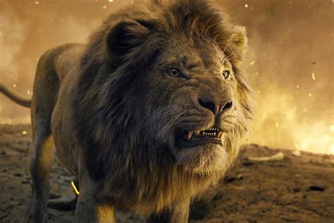 Disney S Lion King Prequel Shifts Release Date To 2024