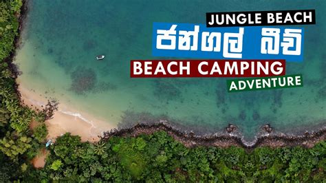 Beach Camping Jungle Beach Galle Camping Adventure Vlog 13