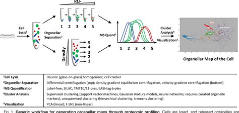 Figure 1 From Organellar Maps Through Proteomic Profiling A