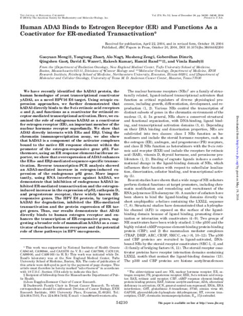 Pdf Human Ada3 Binds To Estrogen Receptor Er And Functions As A