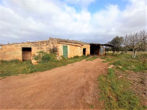 Finca R Stica En Venta En Diseminado Diseminados Var Zona