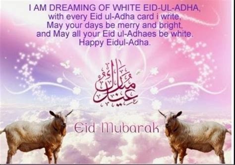 Top 30 Best Eid Ul Adha Quotes 2019 For Muslims